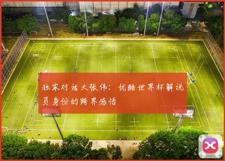 独家对话大张伟：优酷世界杯解说员身份的跨界感悟