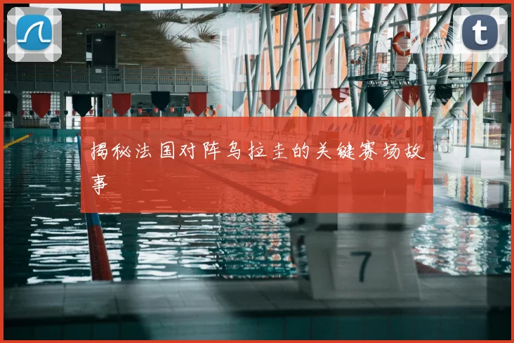 揭秘法国对阵乌拉圭的关键赛场故事