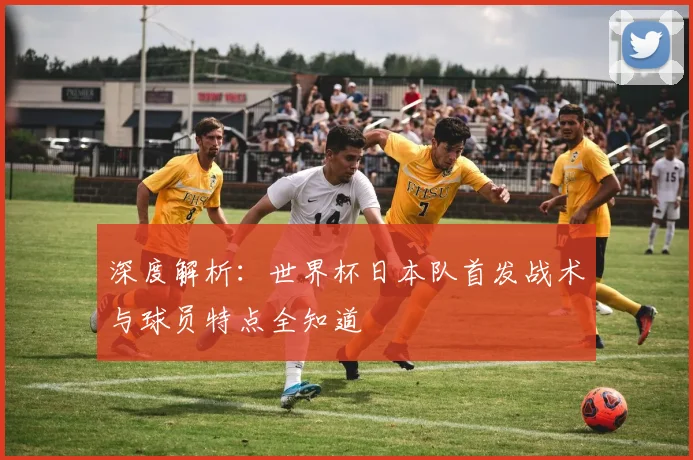 深度解析：世界杯日本队首发战术与球员特点全知道