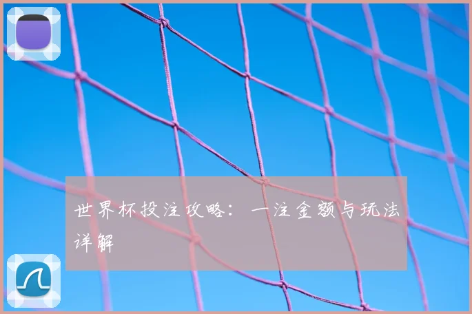 世界杯投注攻略：一注金额与玩法详解