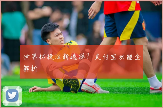 世界杯投注新选择？支付宝功能全解析