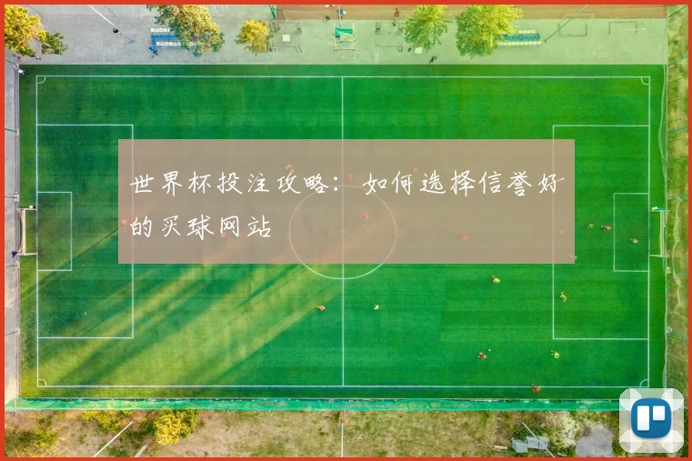 世界杯投注攻略：如何选择信誉好的买球网站