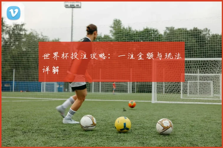 世界杯投注攻略：一注金额与玩法详解