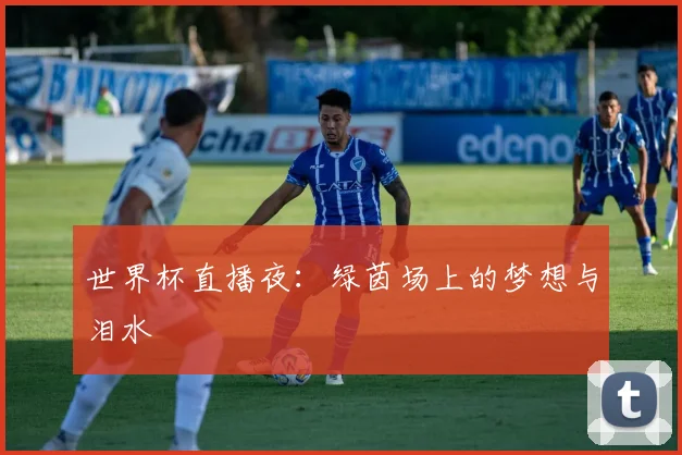 世界杯直播夜：绿茵场上的梦想与泪水